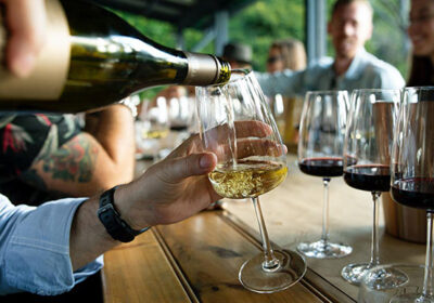 A temperatura de servir os vinhos 10 A temperatura de servir os vinhos