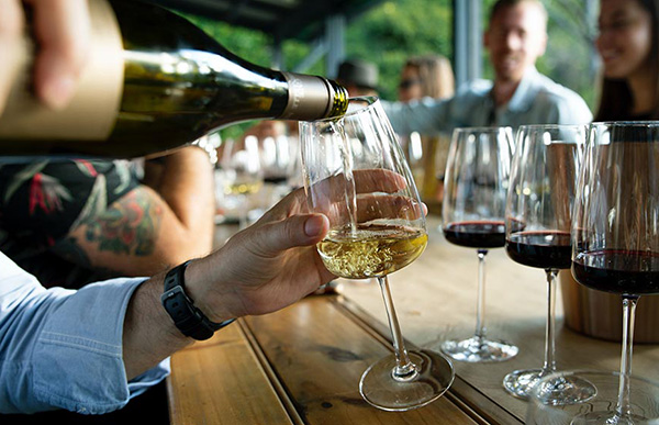 A temperatura de servir os vinhos 7 A temperatura de servir os vinhos