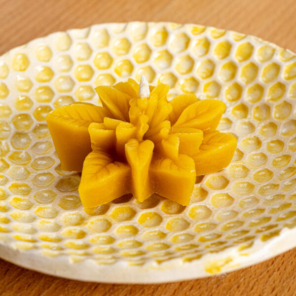 nectar vela de cera de abelha
