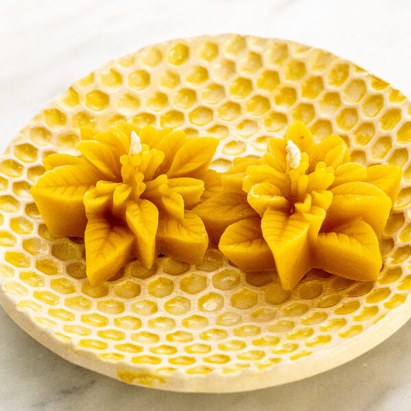 nectar vela de cera de abelha