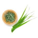 Erva-Príncipe 2 Lemongrass The Pur Terroir Soalheiro