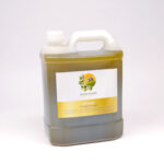 Projet_16MARS24_0113