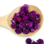 Perpétua Roxa 1 perpetua 2