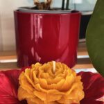 peonia
