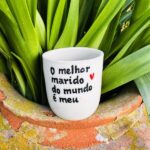 IMG 7834 600x618 1