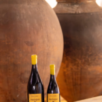 Vinho de Talha Tinto Malápio Bairrada DOC 2024 Magnum 1,5L