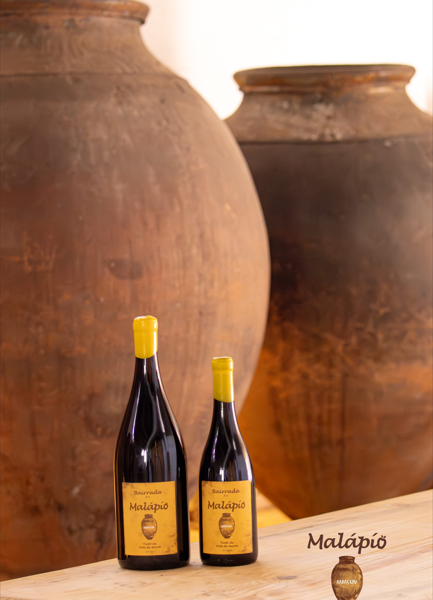 Home 3 Vinho de Talha Tinto Malápio Bairrada DOC 2024 Magnum 1,5L