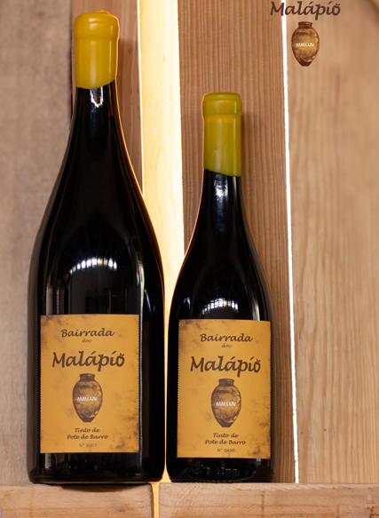 Home 4 Vinho de Talha Tinto Malápio Bairrada DOC 2024 Magnum 1,5L
