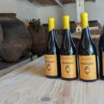 Vinho de Talha Tinto DOC Bairrada 2024 Malápio