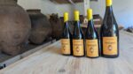 Vinho-de-talha-tinto-malapio-bairrada-doc-2024-field-blend-vinhas-venhas