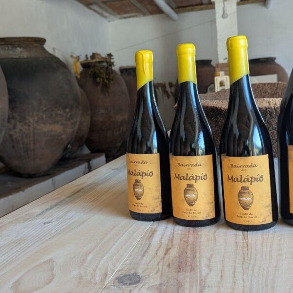 Home 5 Vinho de Talha Tinto DOC Bairrada 2024 Malápio