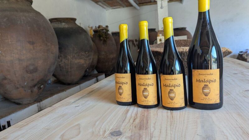 Vinho de Talha Tinto DOC Bairrada 2024 Malápio