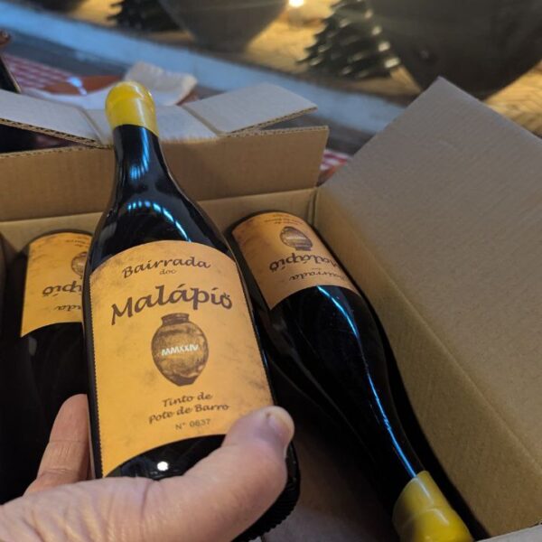 Home 7 Vinho da Talha Bairrada Malápio